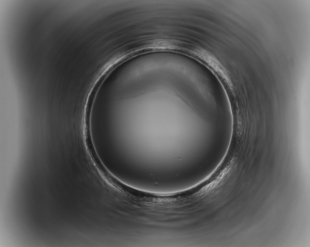 X0000097860845200803211253