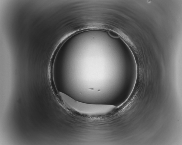 X0000097860846200803211253