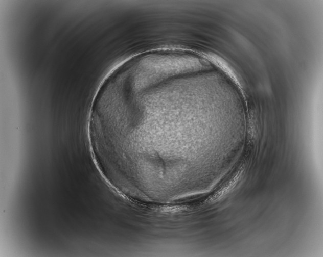 X0000097860847200803211253