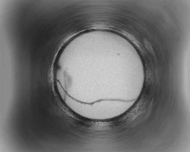 X0000097860848200803211253