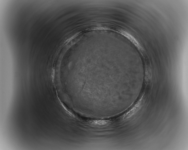 X0000097860849200803211253