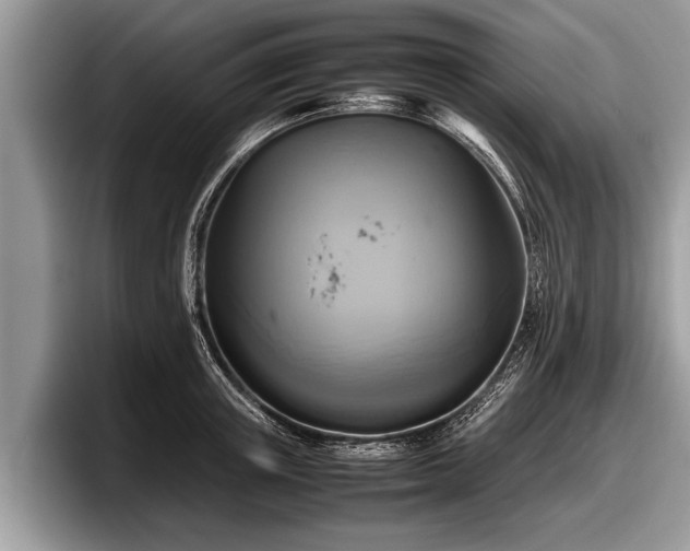 X0000097860851200803211253