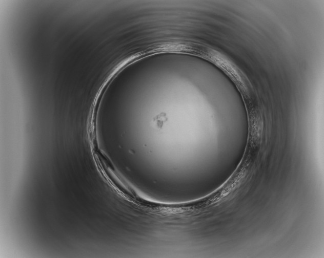 X0000097860852200803211253