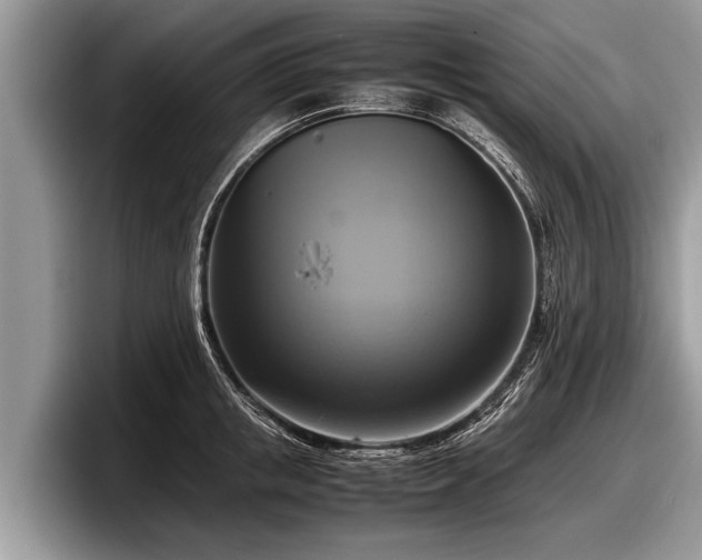 X0000097860853200803211253