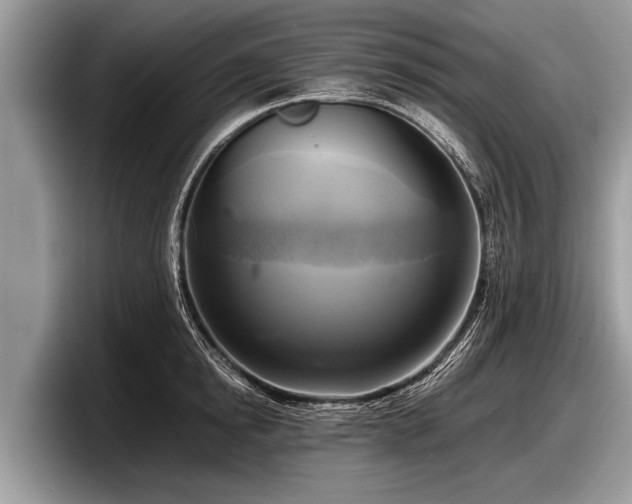 X0000097860854200803211253