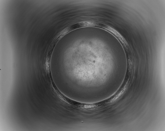 X0000097860857200803211253