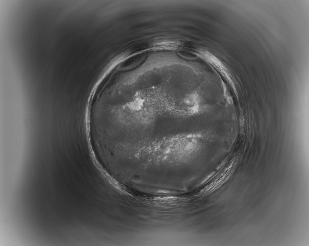 X0000097860859200803211253