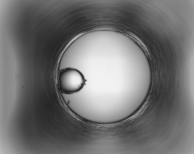 X0000097860860200803211253