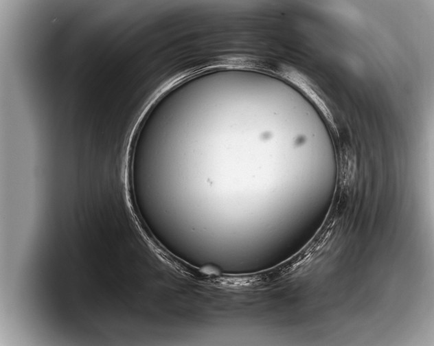 X0000097860861200803211253