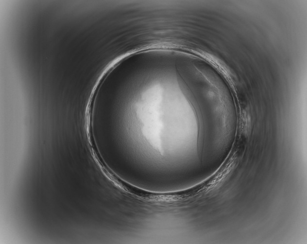 X0000097860862200803211253