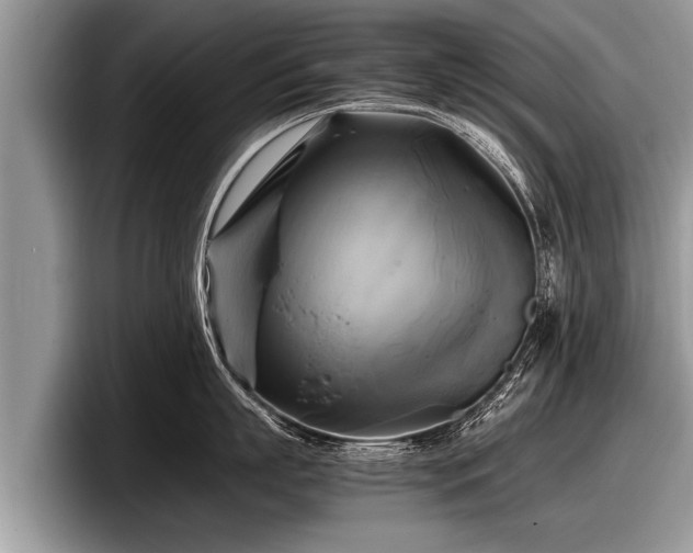 X0000097860863200803211253