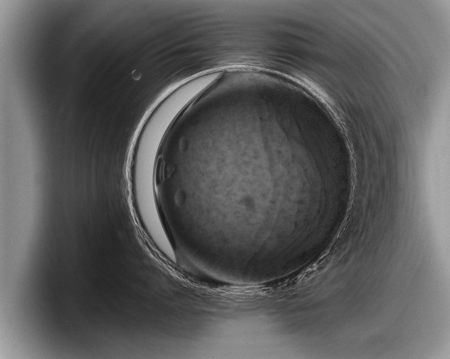 X0000097860864200803211253