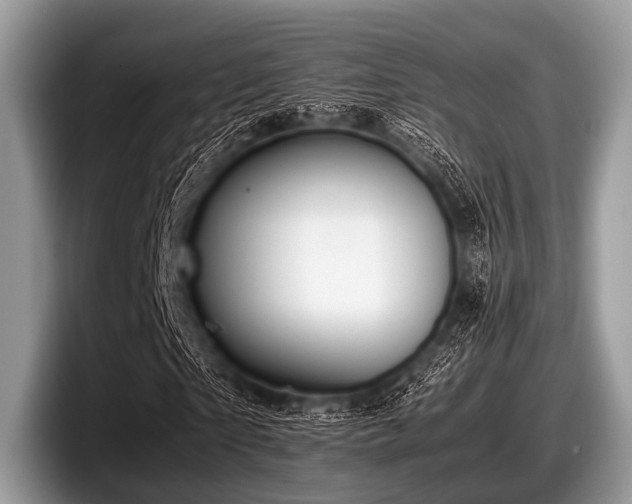 X0000097860865200803211252