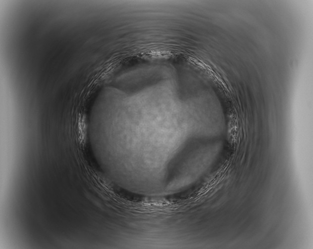 X0000097860866200803211252