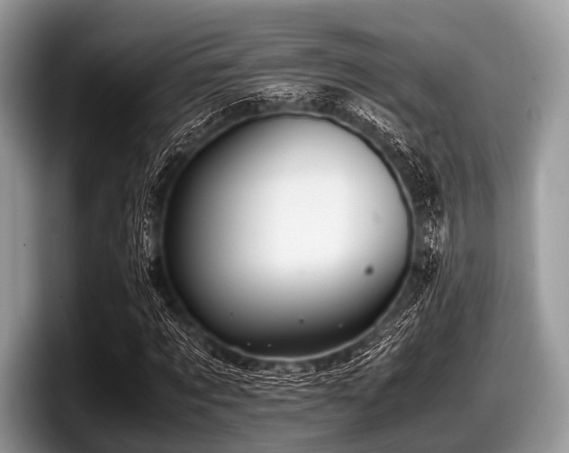 X0000097860869200803211252