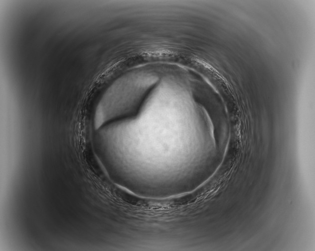 X0000097860870200803211252