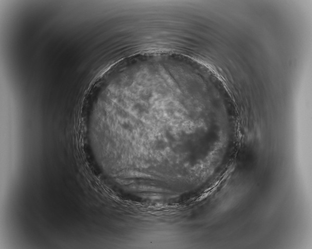 X0000097860871200803211252