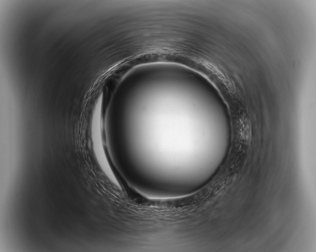 X0000097860872200803211252