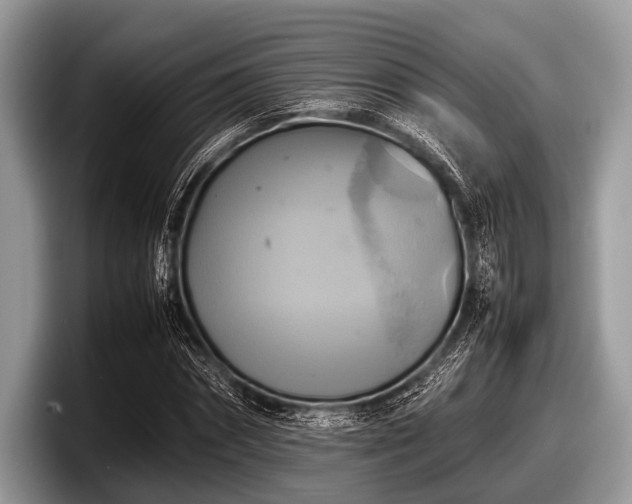 X0000097860874200803211252