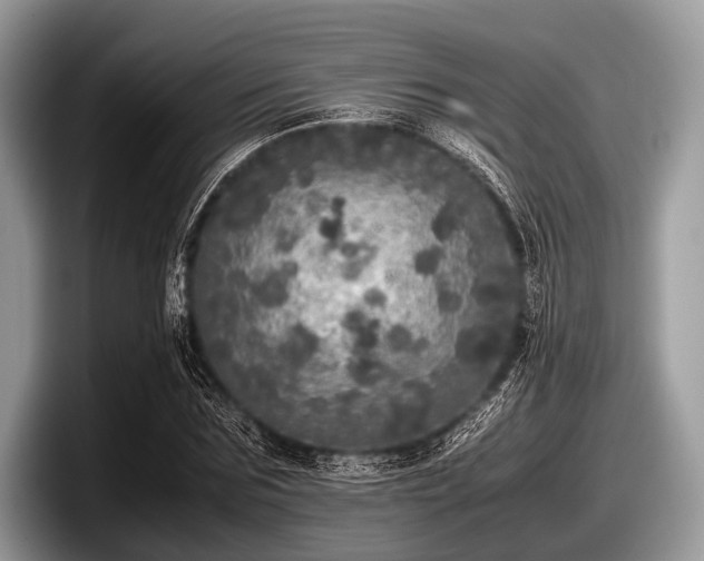 X0000097860875200803211252