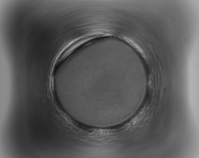 X0000097860877200803211252