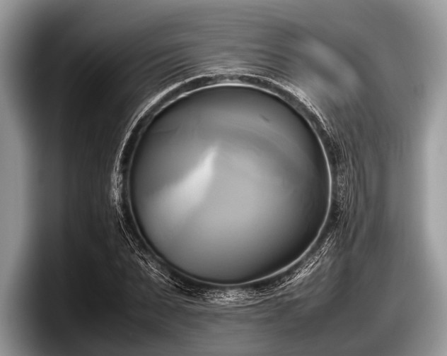 X0000097860879200803211252