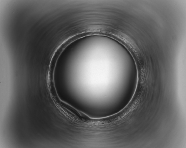 X0000097860880200803211252