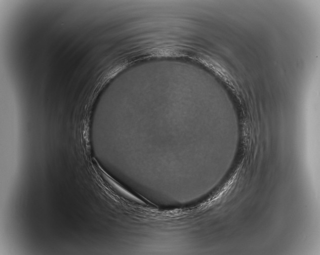 X0000097860881200803211252