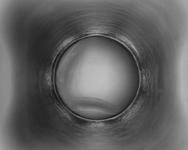 X0000097860882200803211252