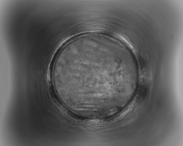 X0000097860883200803211252