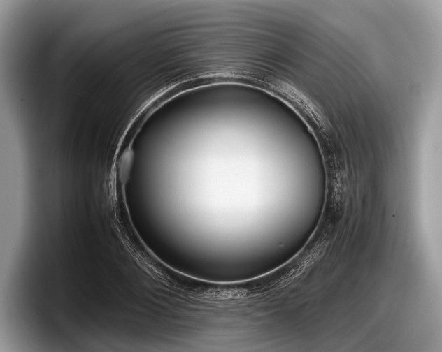 X0000097860884200803211252