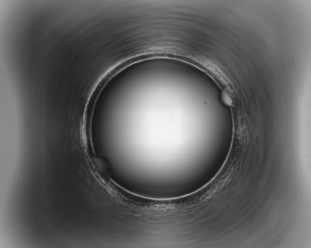 X0000097860888200803211252