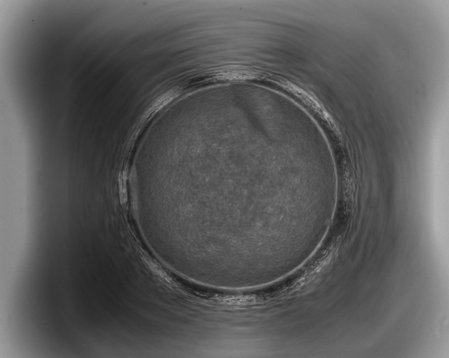 X0000097860889200803211252