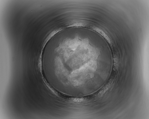 X0000097860890200803211252