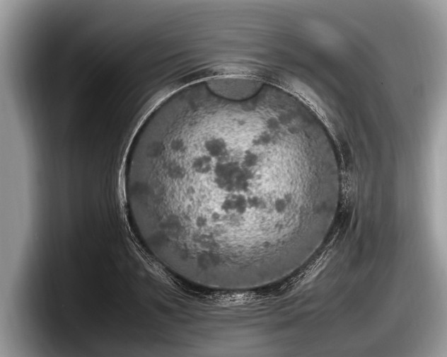 X0000097860891200803211252