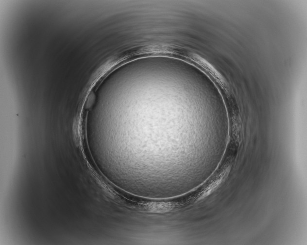 X0000097860893200803211252