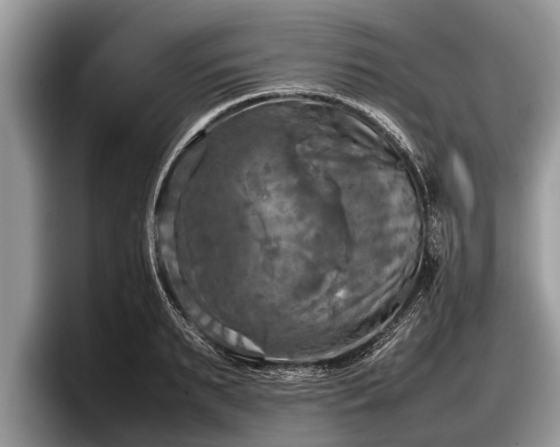 X0000097860895200803211252