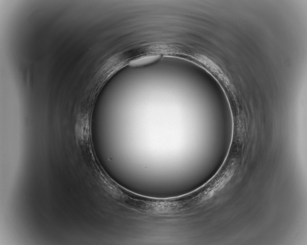 X0000097860897200803211252