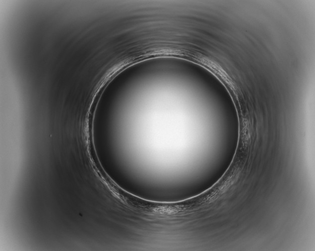 X0000097860898200803211252