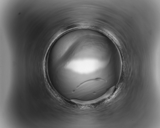 X0000097860899200803211252