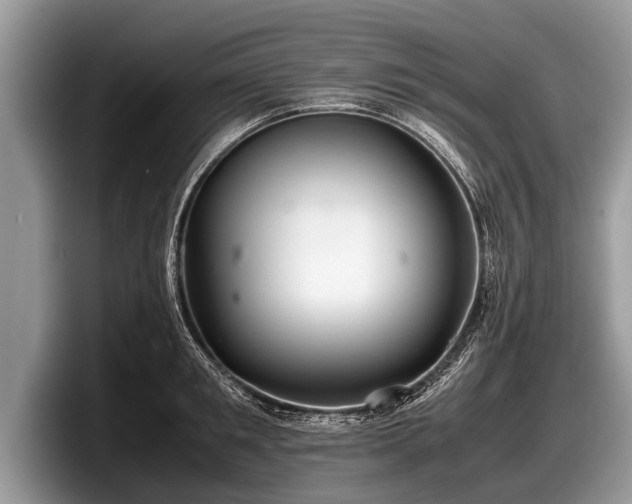 X0000097860901200803211252