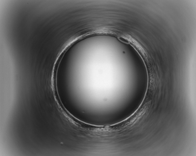 X0000097860902200803211252