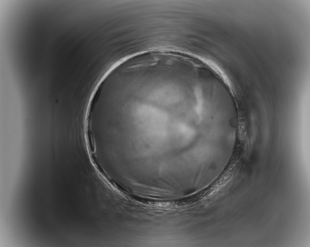 X0000097860903200803211252