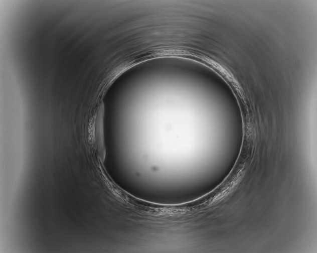 X0000097860905200803211252