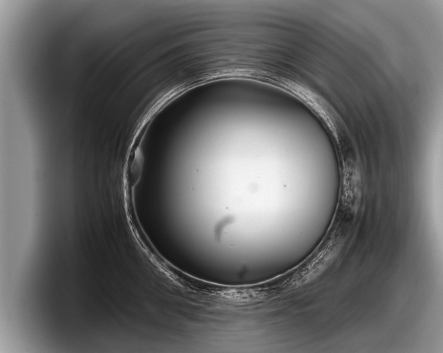 X0000097860906200803211252