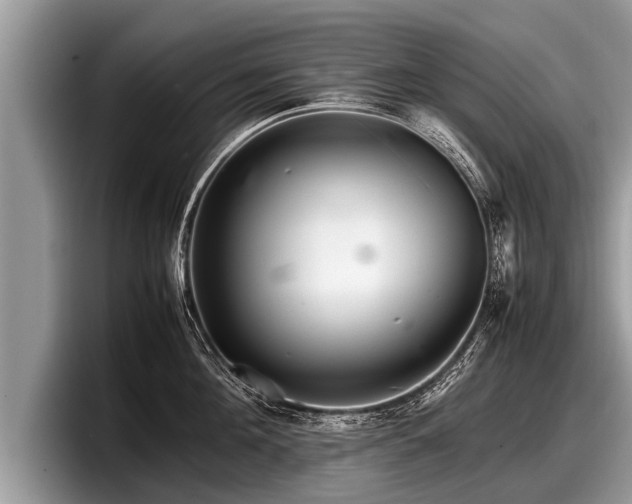 X0000097860908200803211252