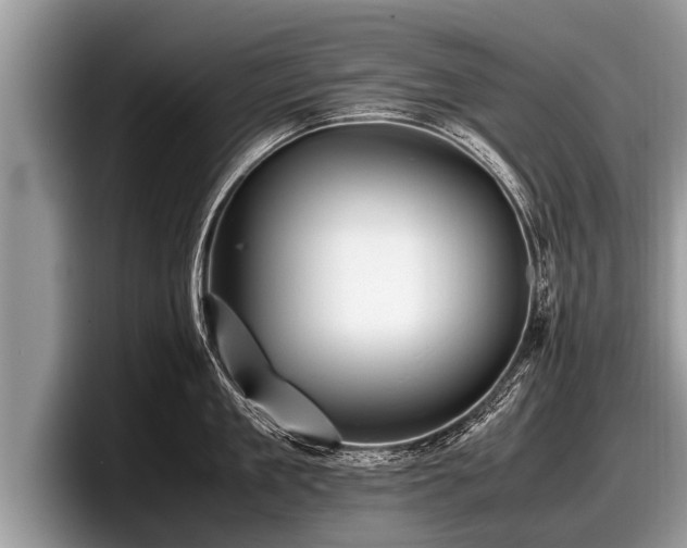 X0000097860909200803211252