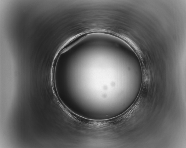 X0000097860910200803211252