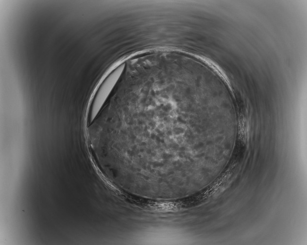 X0000097860911200803211252