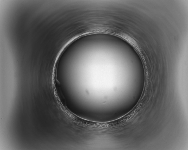 X0000097860912200803211252